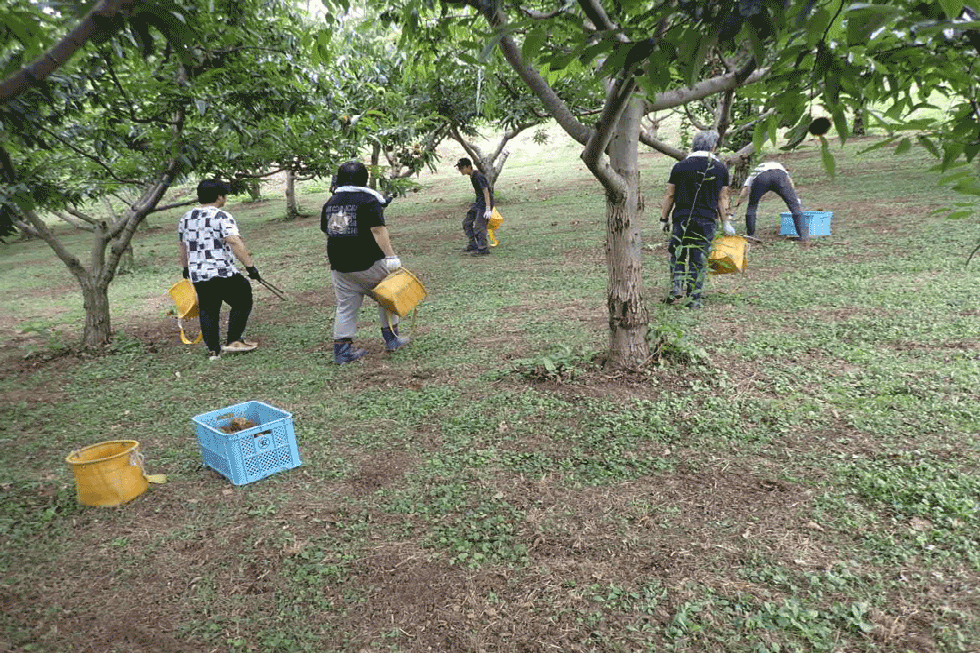 就労継続支援Ａ型